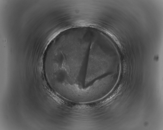 X0000100841023200806271107