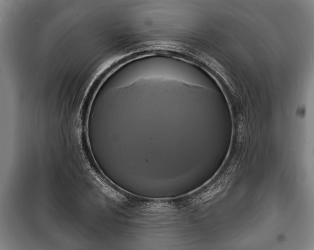 X0000100841024200806271107