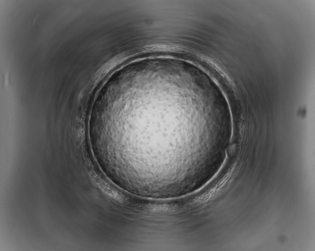 X0000100841025200806271107