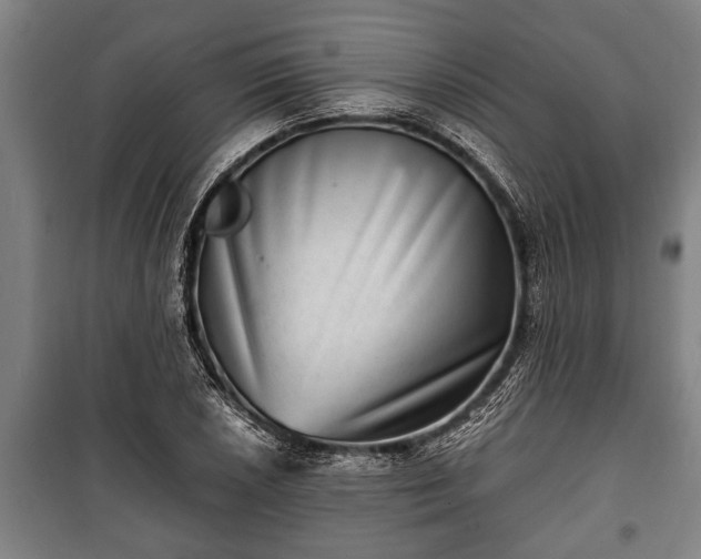 X0000100841026200806271107