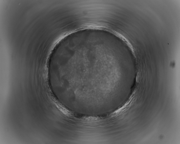 X0000100841027200806271107