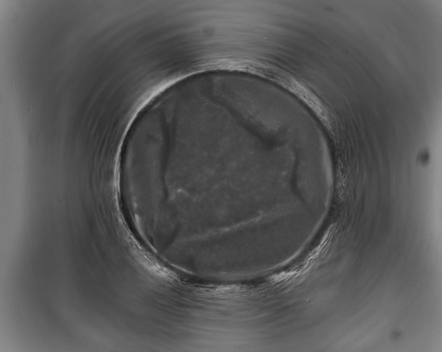 X0000100841028200806271107