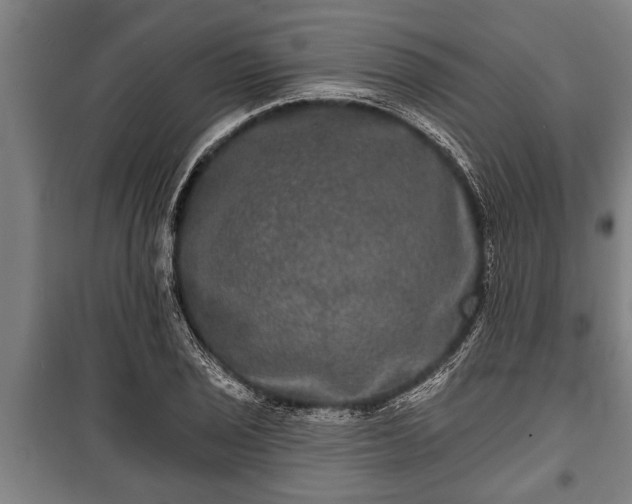 X0000100841029200806271107