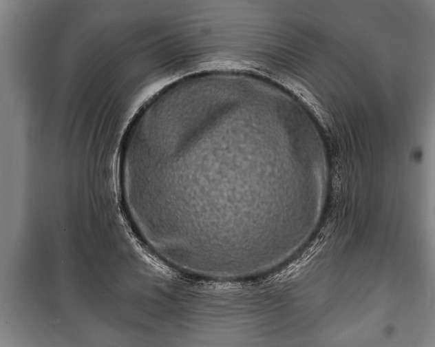 X0000100841030200806271107