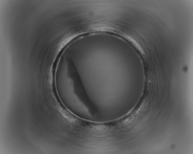 X0000100841031200806271107