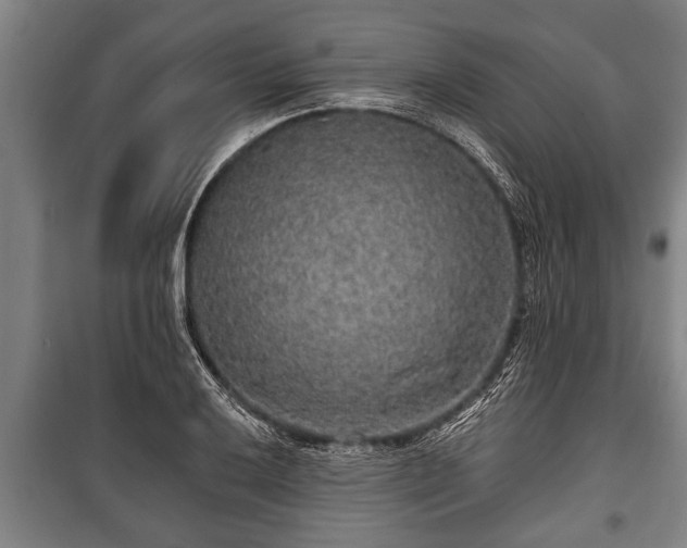 X0000100841032200806271107