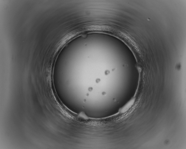 X0000100841033200806271107