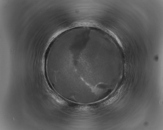 X0000100841035200806271107