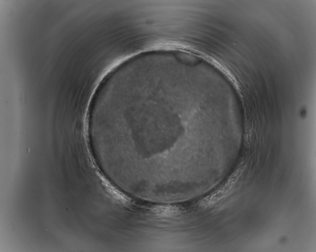 X0000100841037200806271108