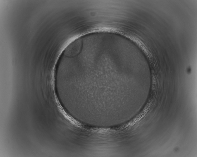 X0000100841038200806271108