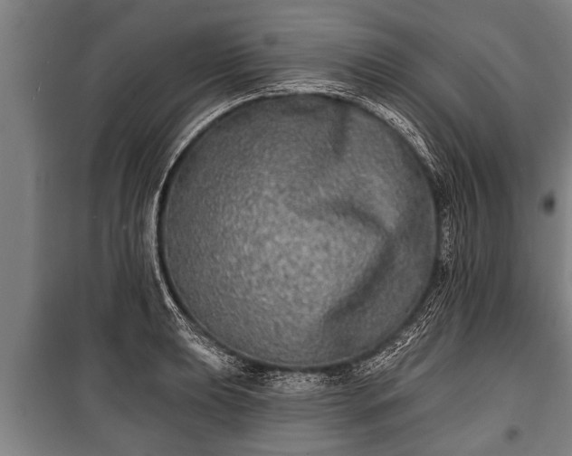 X0000100841039200806271108