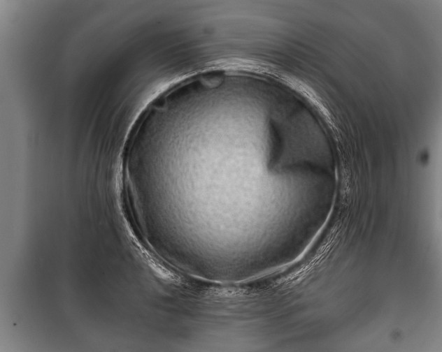 X0000100841040200806271108