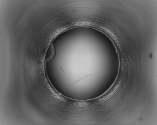 X0000100841041200806271108