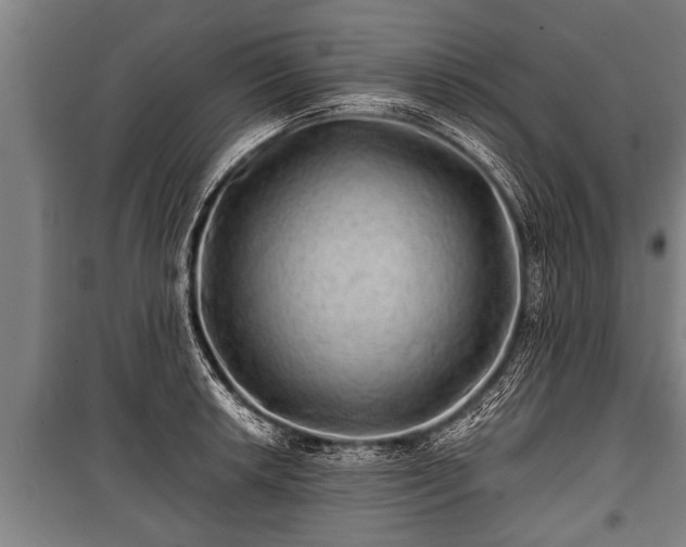 X0000100841042200806271108