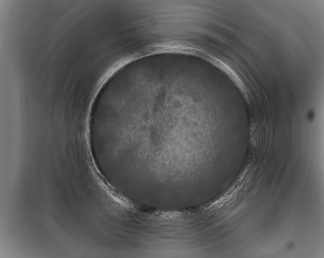 X0000100841043200806271108