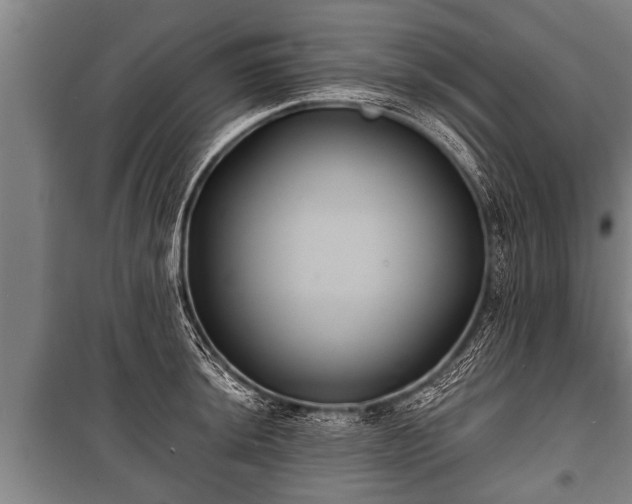 X0000100841044200806271108