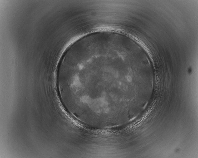 X0000100841045200806271108