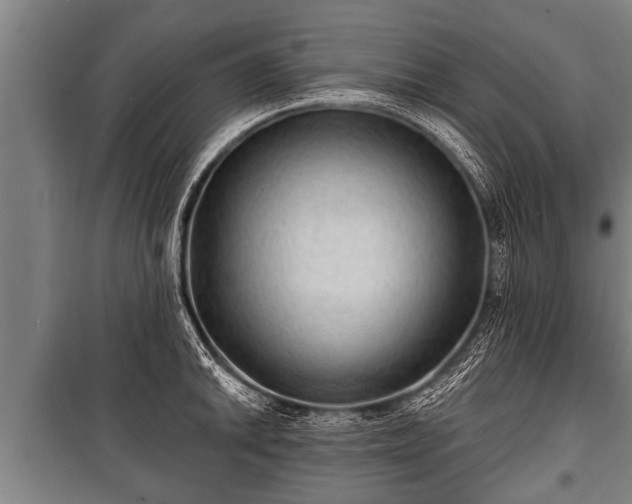 X0000100841046200806271108