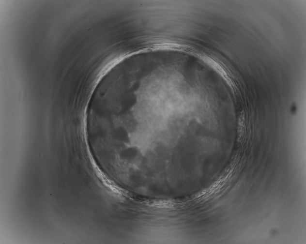 X0000100841047200806271108