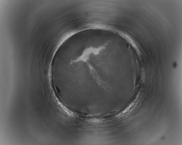 X0000100841048200806271108