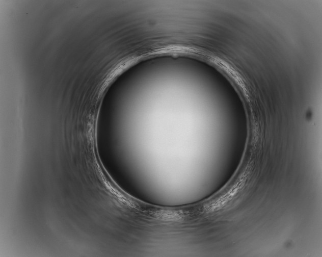 X0000100841049200806271108