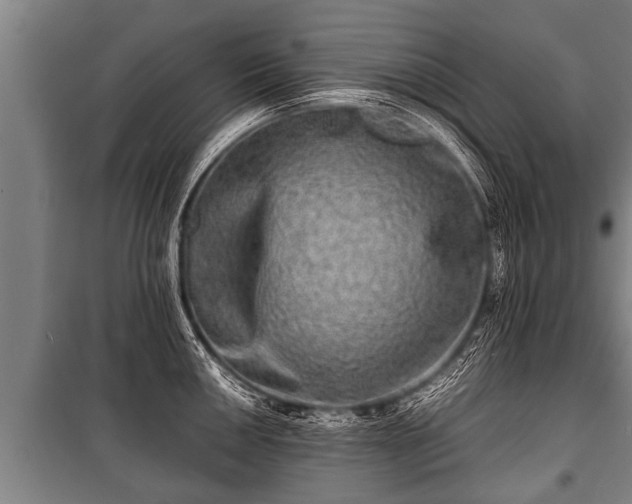 X0000100841050200806271108