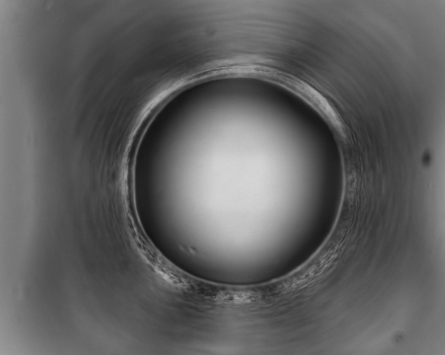 X0000100841051200806271108