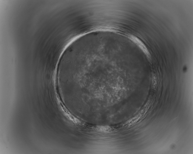 X0000100841052200806271108