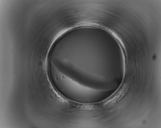 X0000100841053200806271108