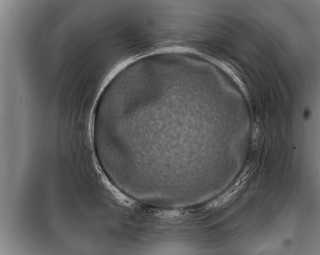 X0000100841054200806271108