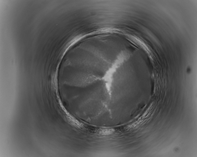 X0000100841055200806271108