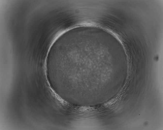 X0000100841056200806271108