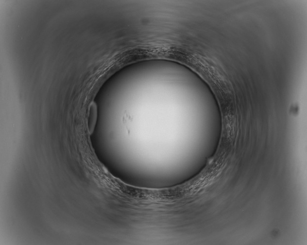 X0000100841057200806271107