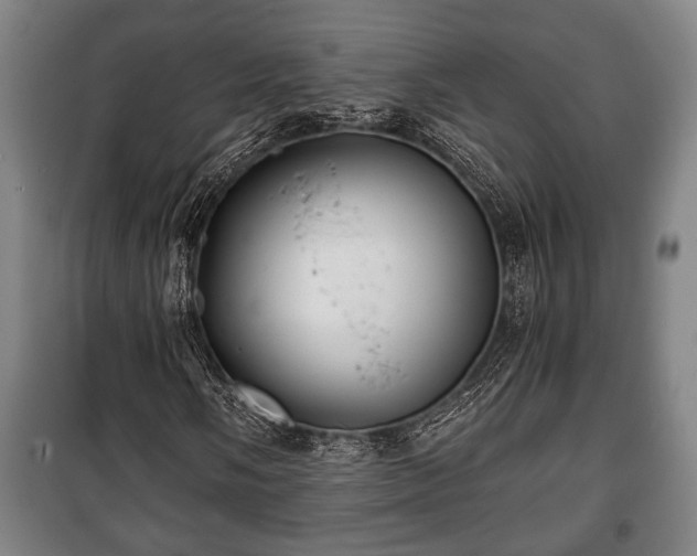 X0000100841058200806271107