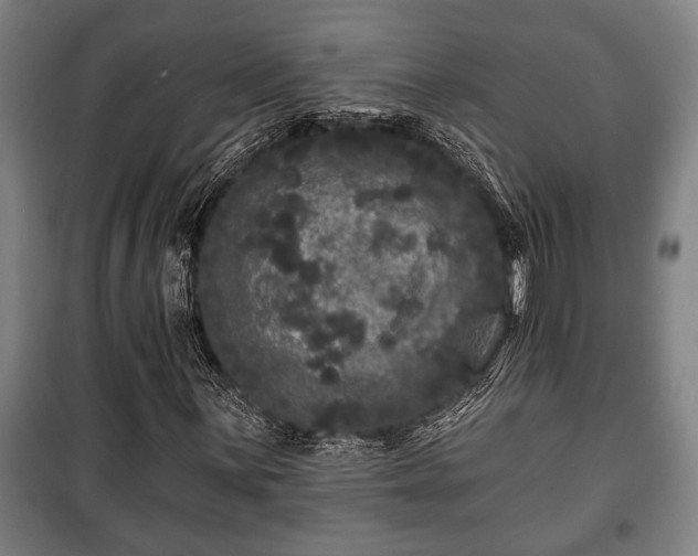 X0000100841059200806271107