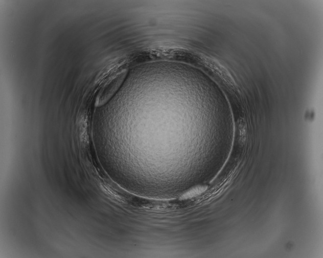 X0000100841060200806271107