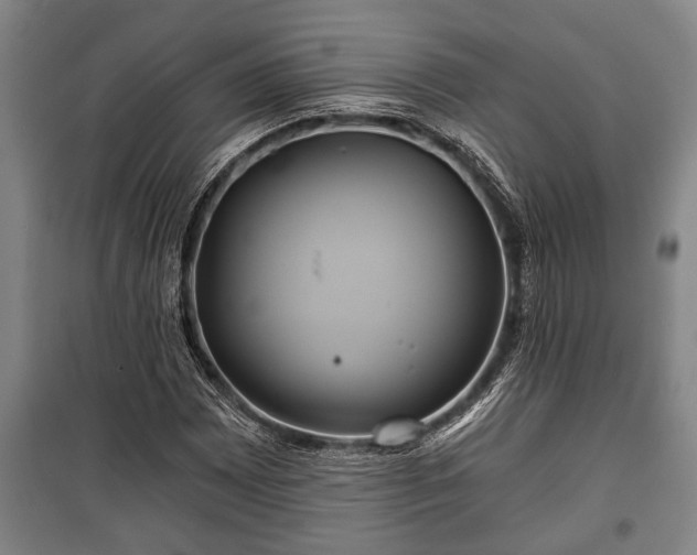 X0000100841065200806271107