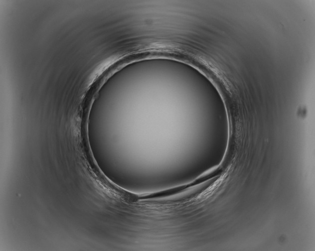 X0000100841066200806271107