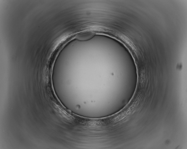 X0000100841067200806271107