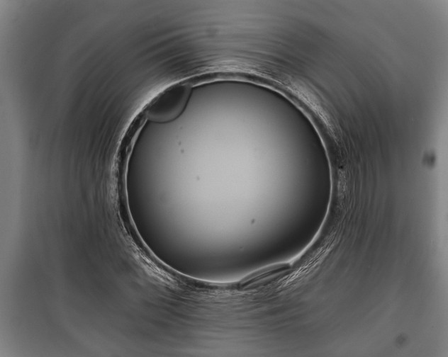 X0000100841068200806271107