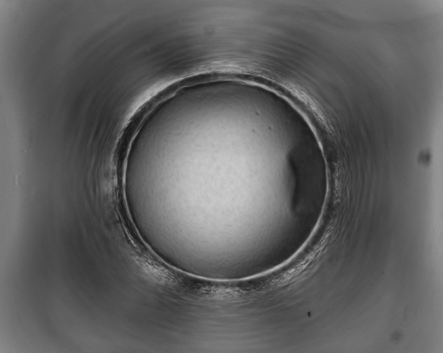 X0000100841070200806271107