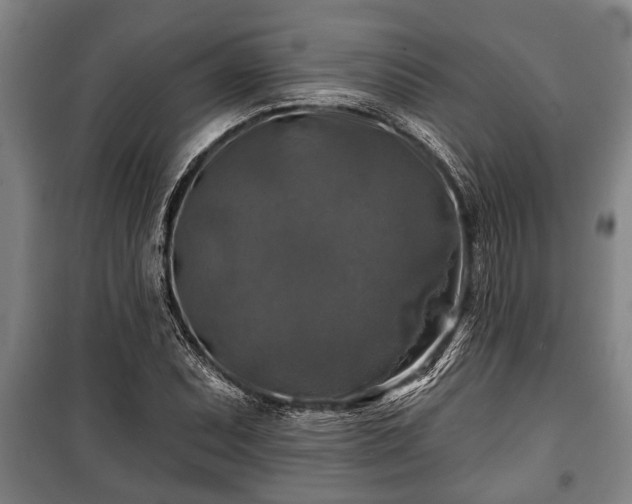 X0000100841071200806271107