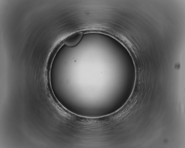 X0000100841072200806271107