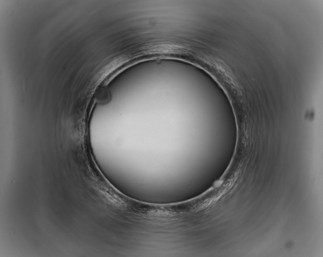 X0000100841073200806271107