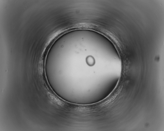 X0000100841075200806271107