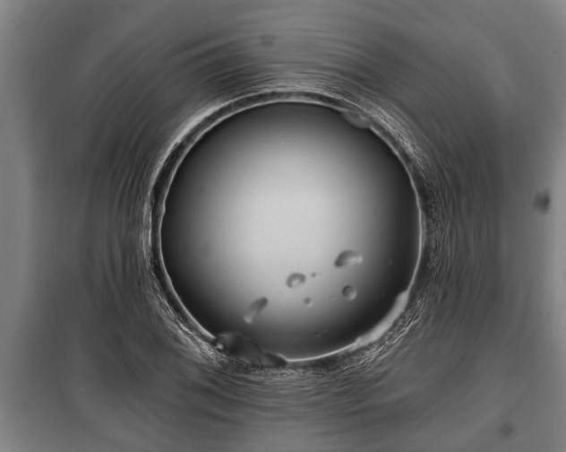 X0000100841076200806271107