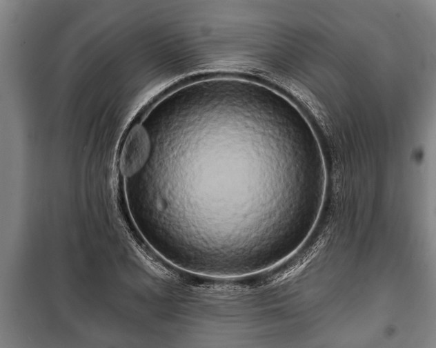 X0000100841077200806271107