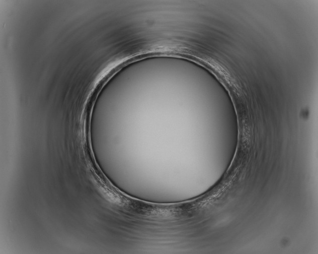 X0000100841078200806271107