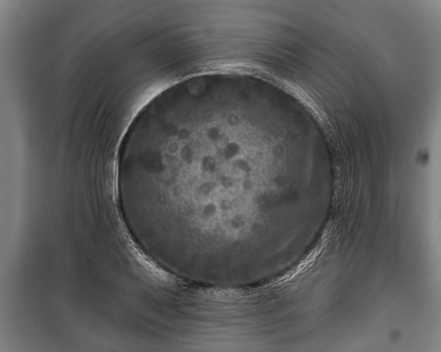 X0000100841079200806271107