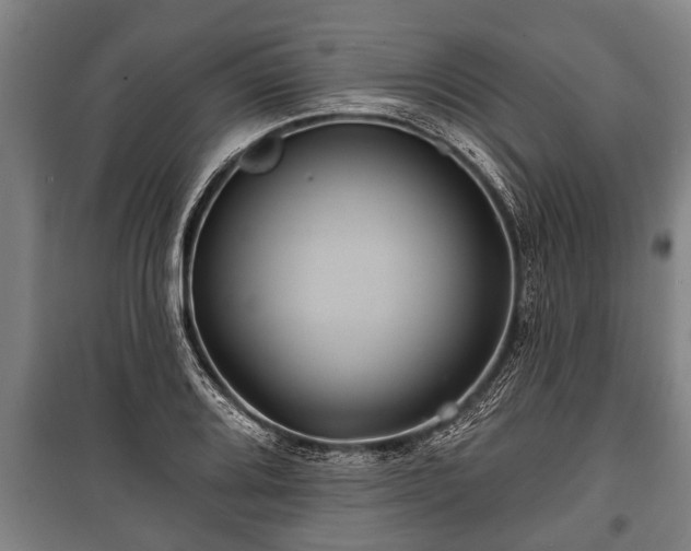 X0000100841080200806271107